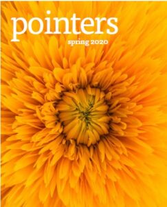 Pointers Shiatsu Journal front cover